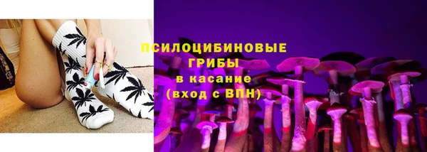 экстази Пересвет