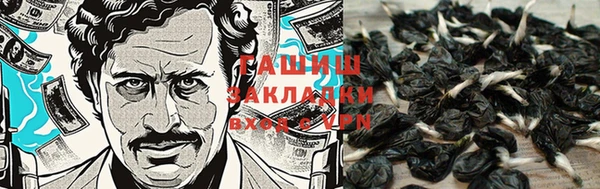 apvp Абаза